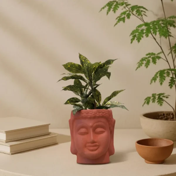 Mittify Red Clay Vase Buddha Face Planter - Image 2