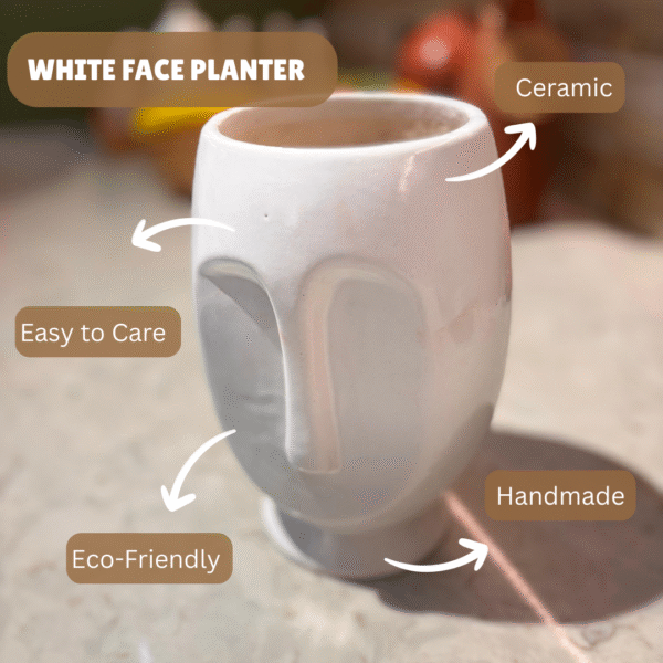White Big Face Ceramic Planter