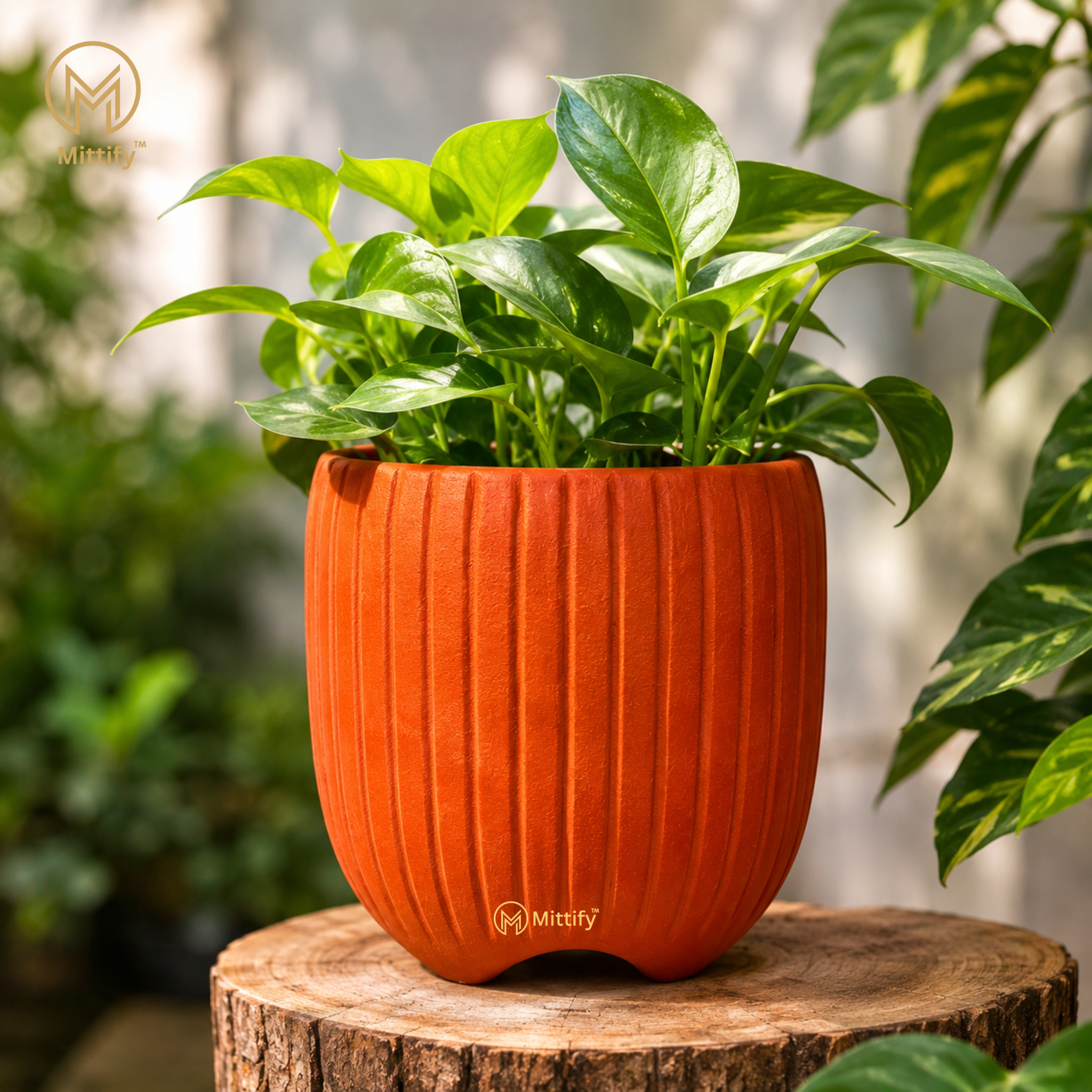 Mittify Red Clay Vase Cup Planter
